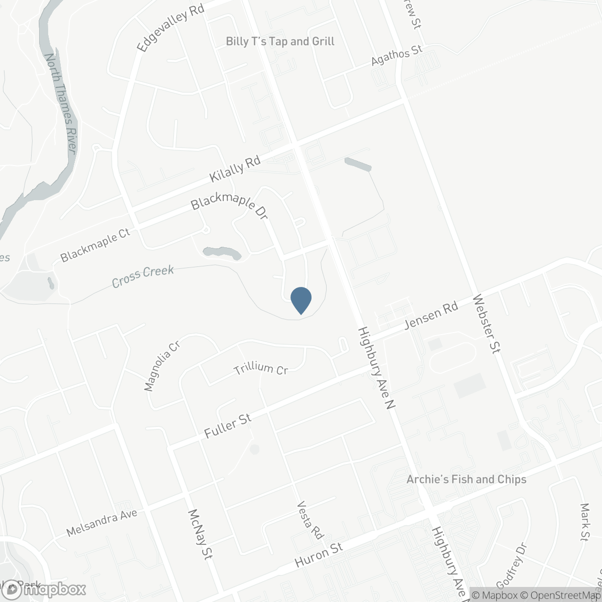 1611 BLACKMAPLE CRESCENT, London, Ontario N5Y 6L7